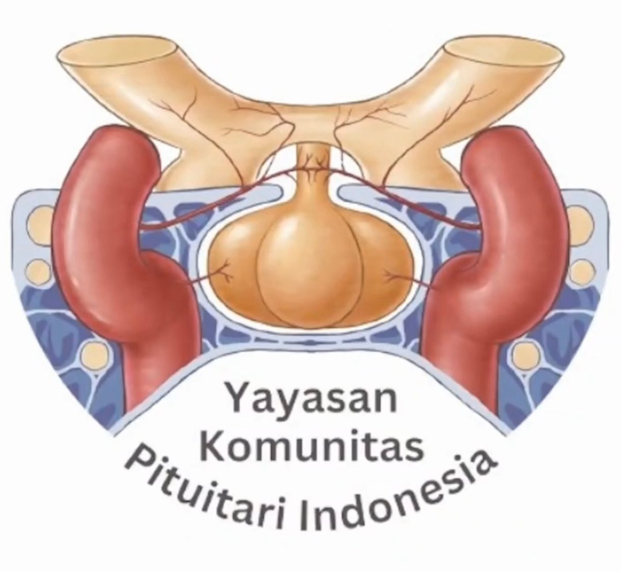 Logo Pituitary Indonesia
